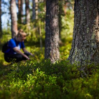 Partioleiri Öjbergetillä 17.10.-18.10.2024 (9110001)